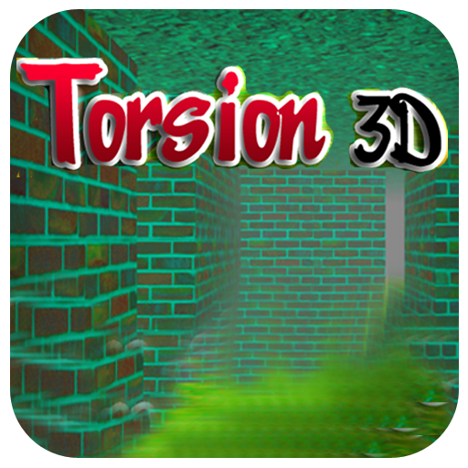  Torsion 3D