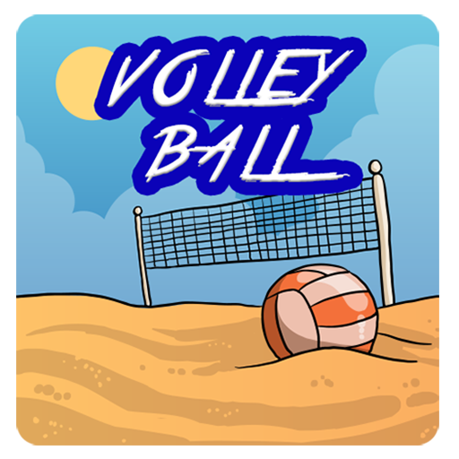  VolleyBall